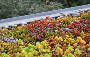 the cost of Dibden Purlieu green roof installation